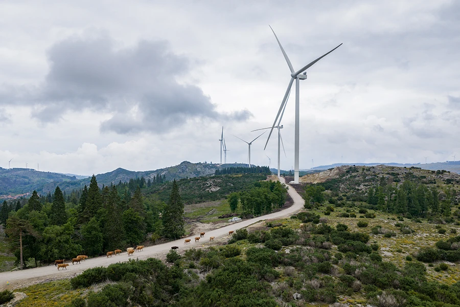 Parque eólico de Iberdrola.